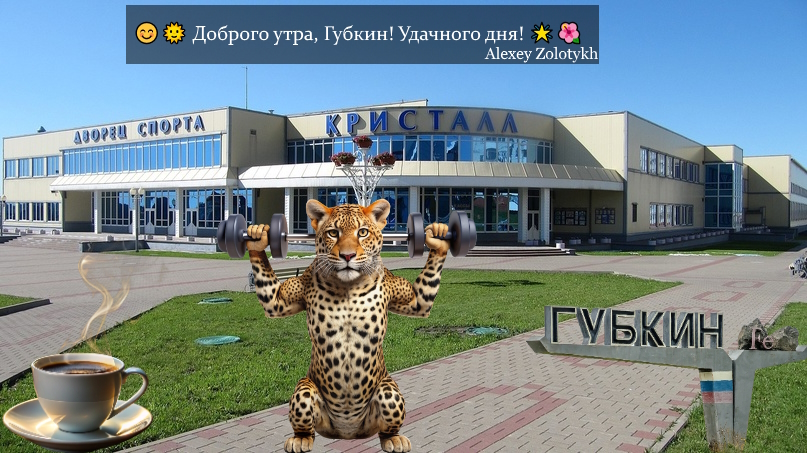 😊🌞 Доброго утра, Губкин! Удачного дня! 🌟🌺